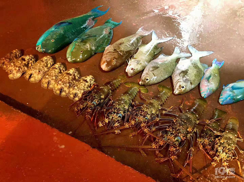 美食與美景的狂歡盛宴——ROTA島7日游