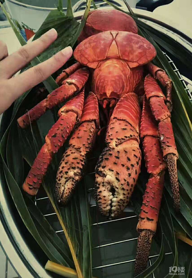 美食與美景的狂歡盛宴——ROTA島7日游