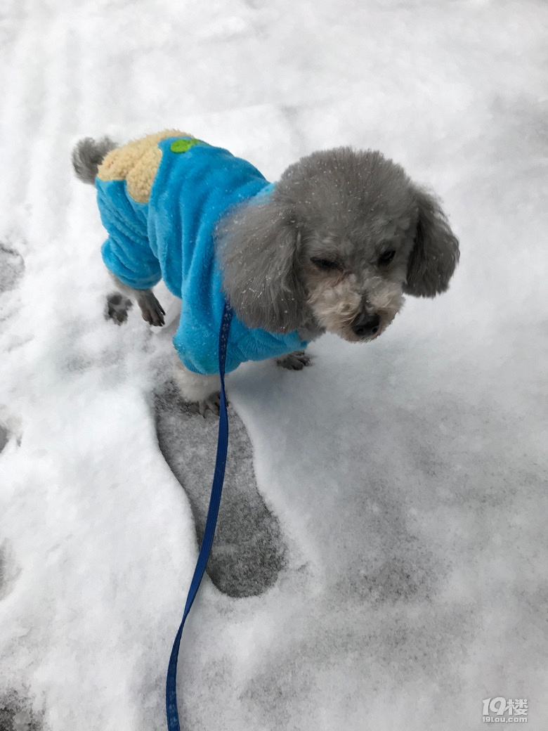 雪地留個(gè)印