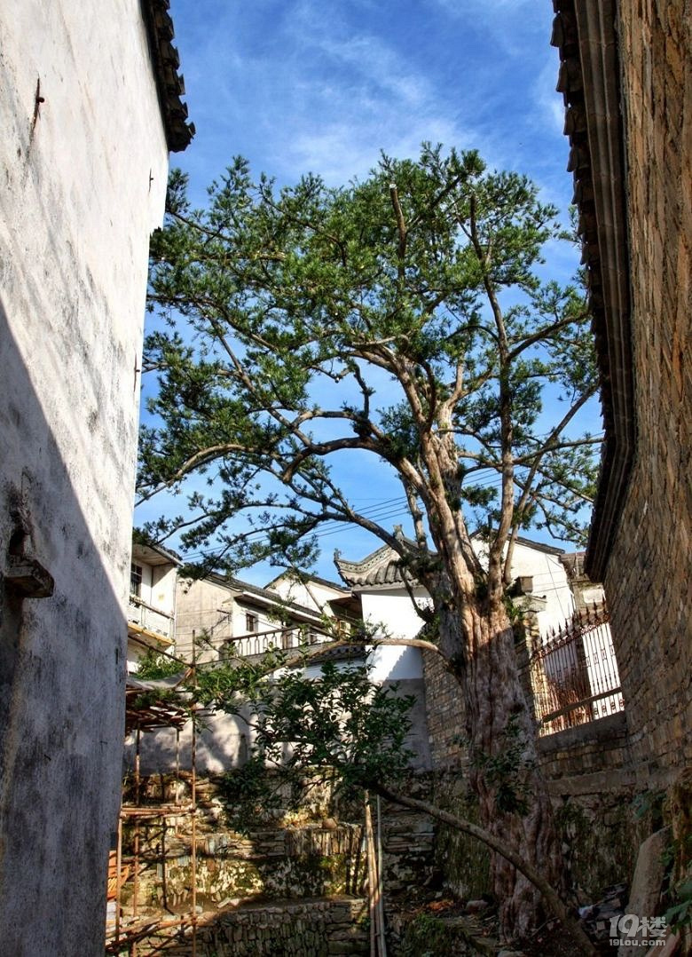 皖南歙县昌溪村,非常安静的古村落