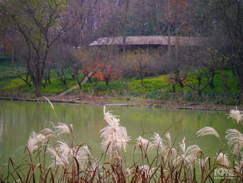 蓮花灘，西溪濕地又推出新的免費(fèi)玩的地方了。。。。