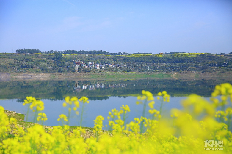 【2019我要上臺(tái)歷】——東游西逛，登山徒步，大美山川