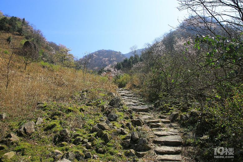 【2019我要上臺(tái)歷】——東游西逛，登山徒步，大美山川