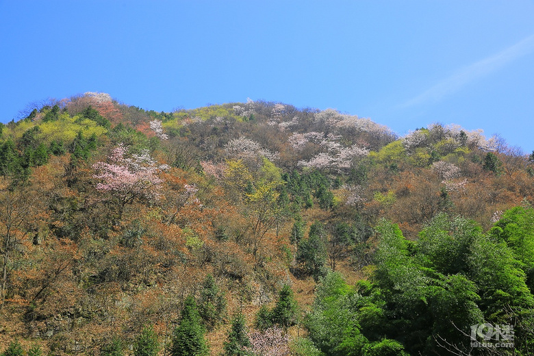 【2019我要上臺(tái)歷】——東游西逛，登山徒步，大美山川