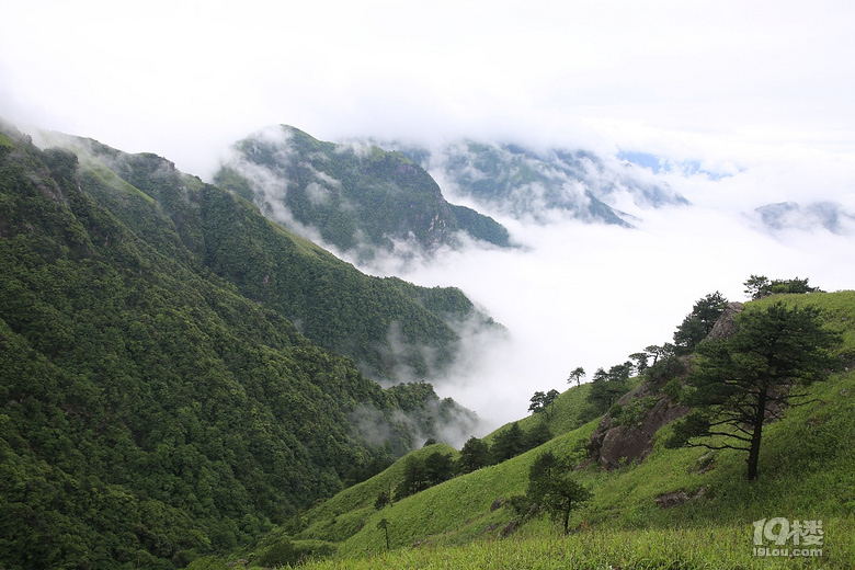 【2019我要上臺(tái)歷】——東游西逛，登山徒步，大美山川