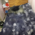 鿴ß