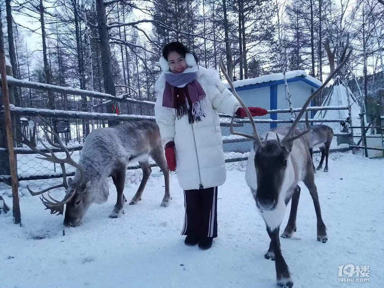 1月去漠河旅游，是一種怎樣的體驗？有哪些好玩的？