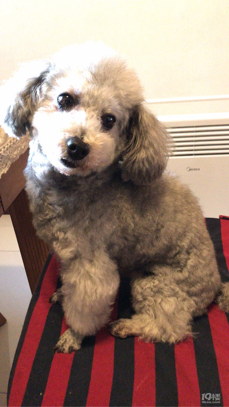 新年快樂
