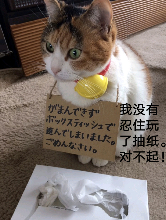 ▼ 2018年7月,一家宠物医院收到一位铲屎官送来的