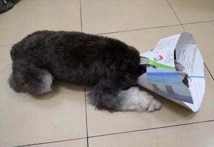 ЩPʺƵɯȦ@ɳƷ