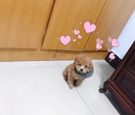 ЩPʺƵɯȦ@ɳƷ