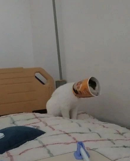 ЩPʺƵɯȦ@ɳƷ