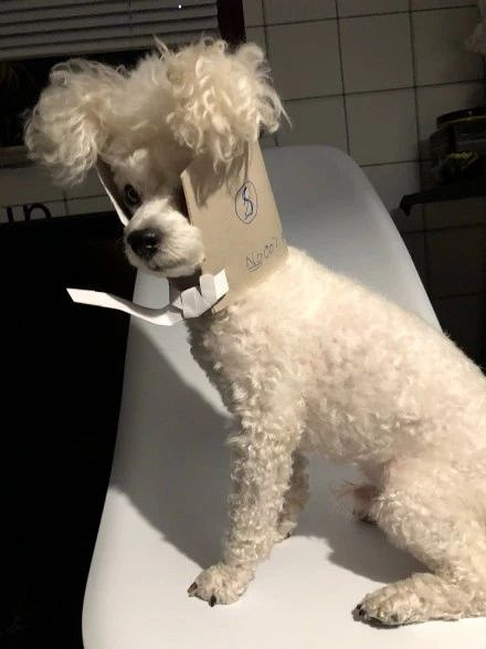 ЩPʺƵɯȦ@ɳƷ