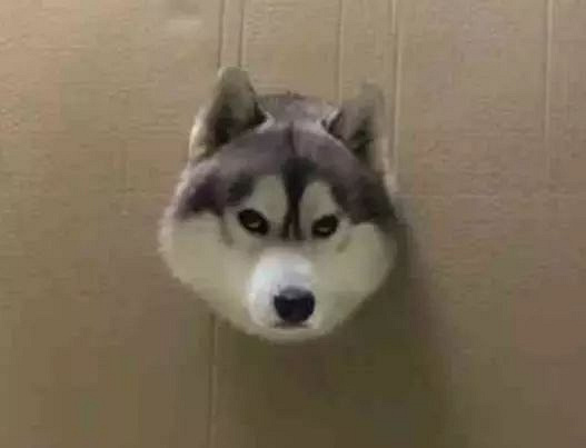 ЩPʺƵɯȦ@ɳƷ