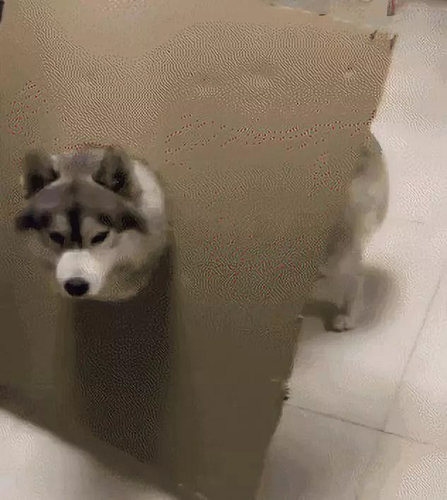 ЩPʺƵɯȦ@ɳƷ