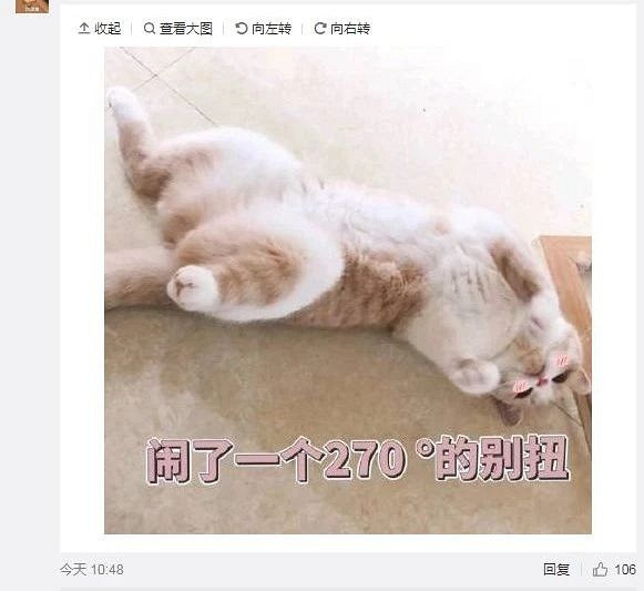 之间网友党感谢感谢组织搞笑图发表1情?教学:教科书式情侣!快图片