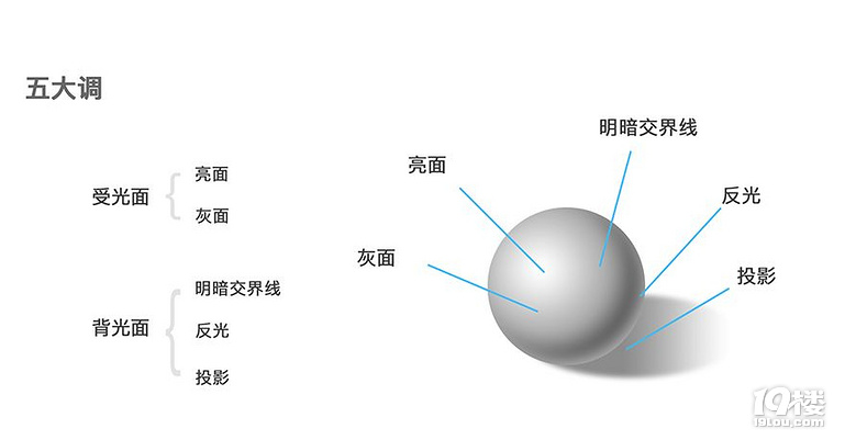 素描中的"三大面"和"五大调"