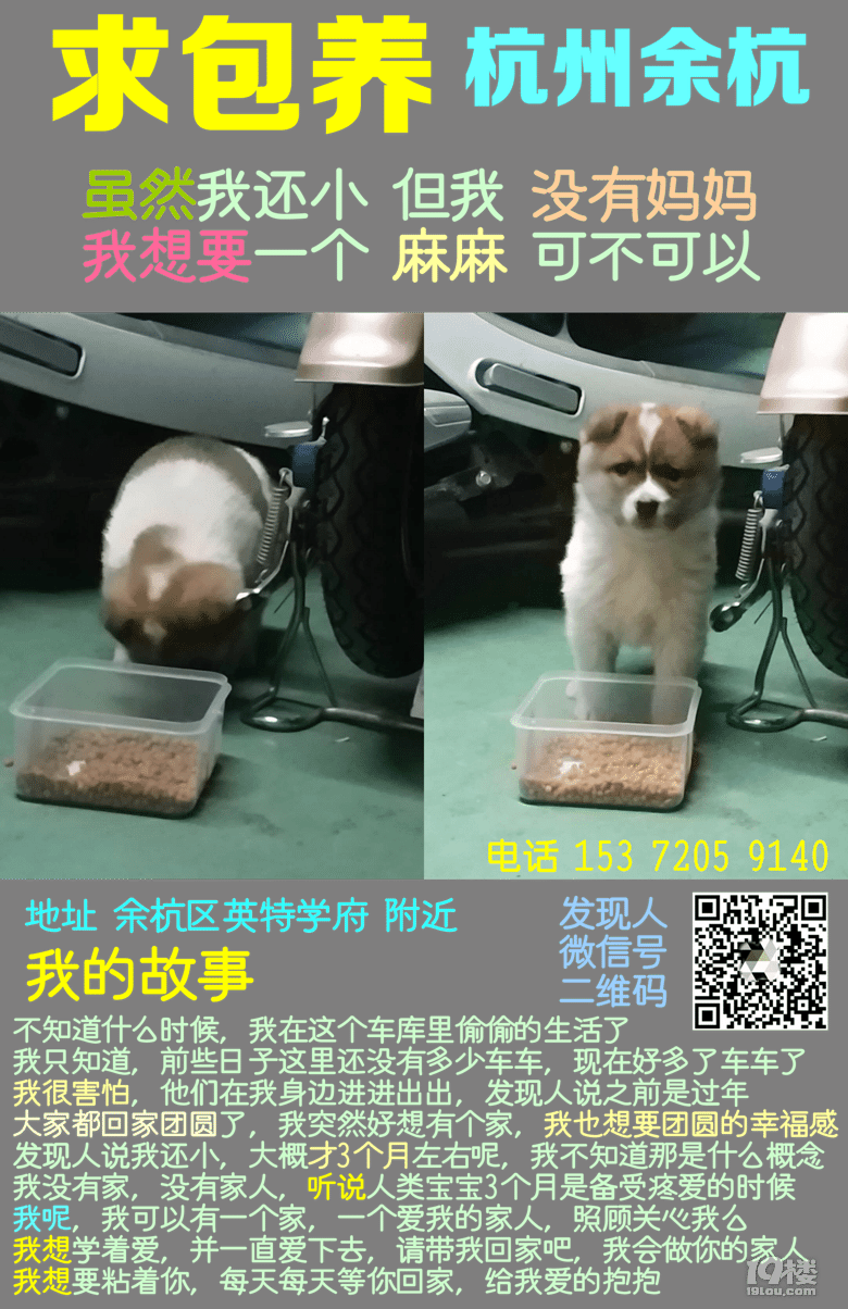 小奶狗 求包養(yǎng) 被遺在棄危險(xiǎn)的車庫