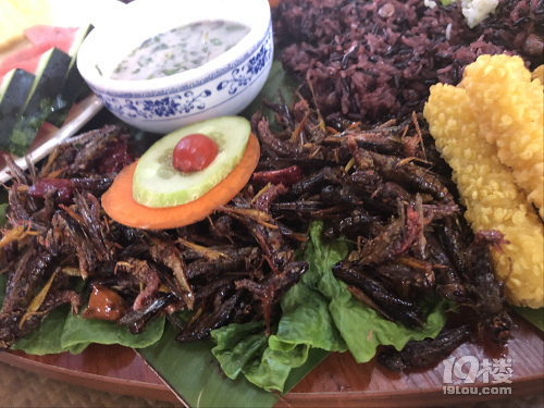 【8隊】昆明、西雙版納的美食