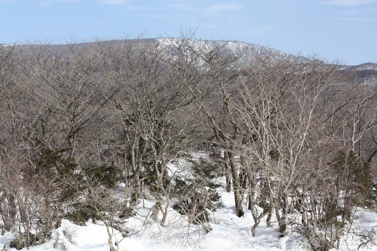 濟州島一人行打卡地