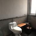 鿴ß
