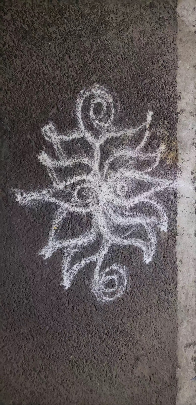 ӡȼTkolam