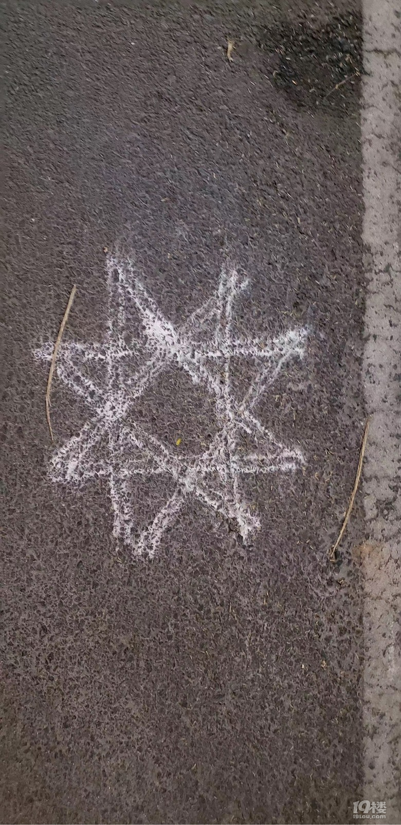 ӡȼTkolam