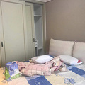 鿴ß