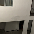 鿴ß