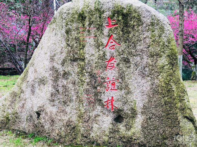 vݹ¡--Ԋⴺ죨ˣ