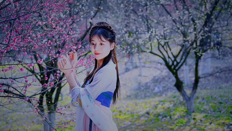 《梅花古風(fēng)女仕圖》 閑看花開靜待花落， 冷暖自知清凈如始。