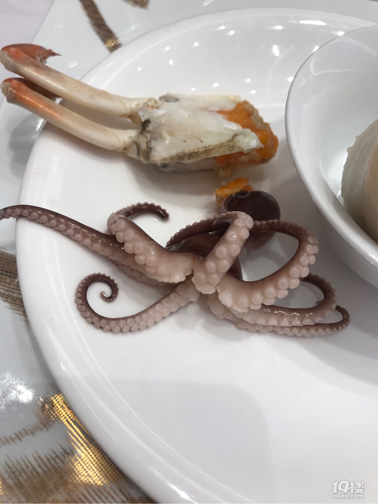 這個(gè)小章魚(yú)原來(lái)叫“望潮”…