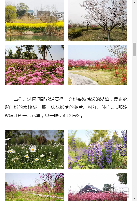 2019.03.29常熟邀您參加2019常熟市第七屆市民徒步賞花大會