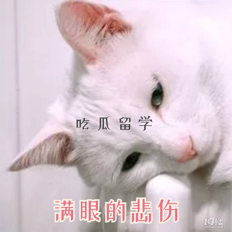 ôWƲܮI(y)^m(x)WՈTʿ܌F(xin)