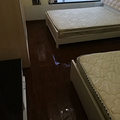 鿴ß