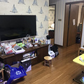 鿴ß