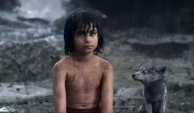 һһҪoӿ5Ӱ^100ӮƬ