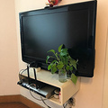 鿴ß