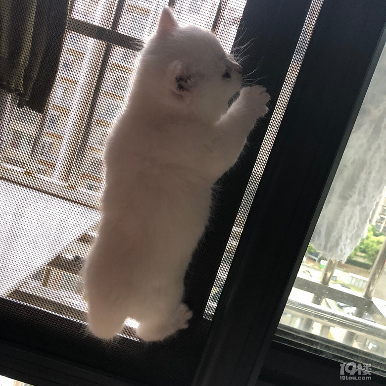 Ҫwø~~~