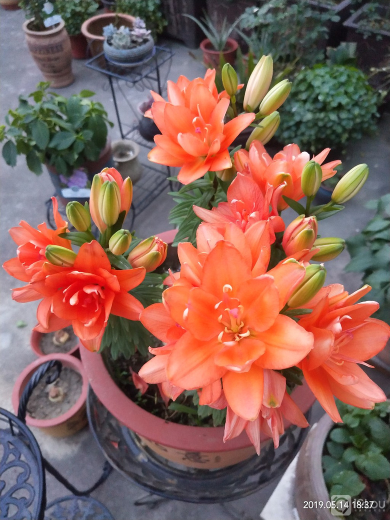 辛苦付出,总有收获