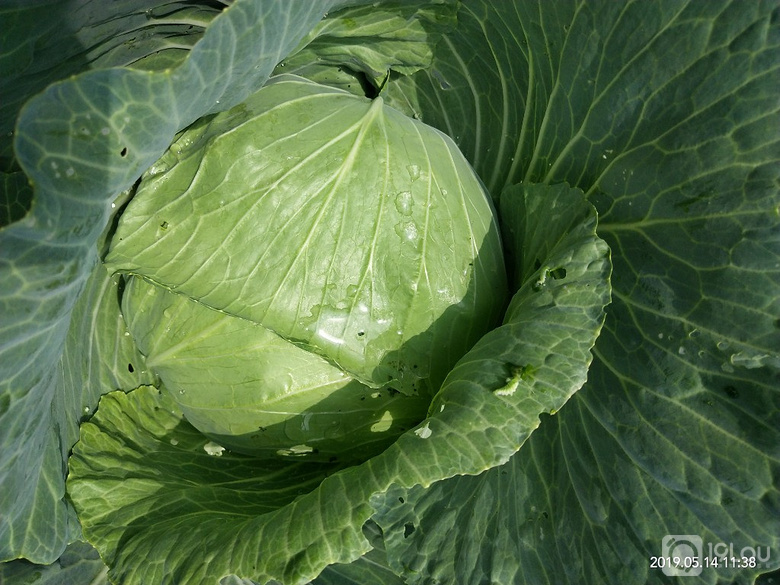 辛苦付出,总有收获