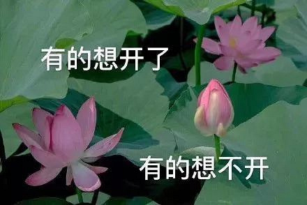 戲精本精！小學(xué)家長群里的這位“奇葩媽媽”，竟令全國網(wǎng)友無語