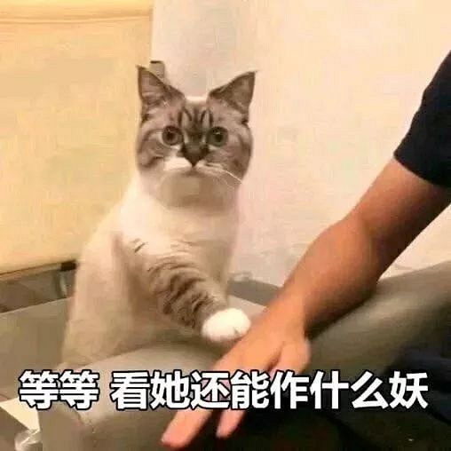 戲精本精！小學(xué)家長群里的這位“奇葩媽媽”，竟令全國網(wǎng)友無語