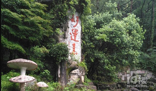2019ݶ繝(ji)ʲô繝(ji)ȥ(+m(x))