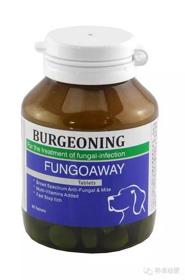 狗狗皮肤病怎么治 不同症状解析