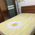 鿴ß