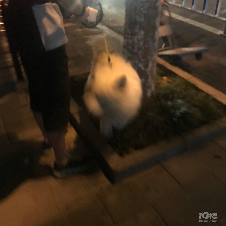 偷拍到模糊糊～
