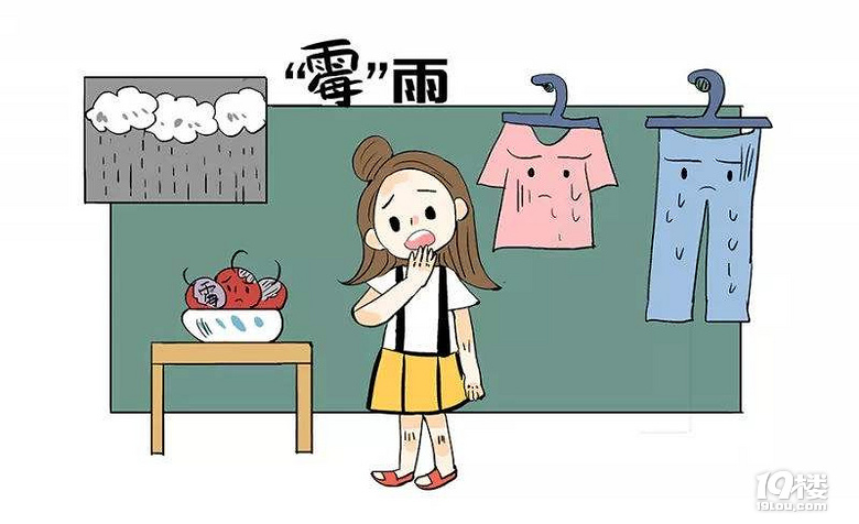 迎來梅雨時(shí)間，牛得多為你去除陰霾的心情