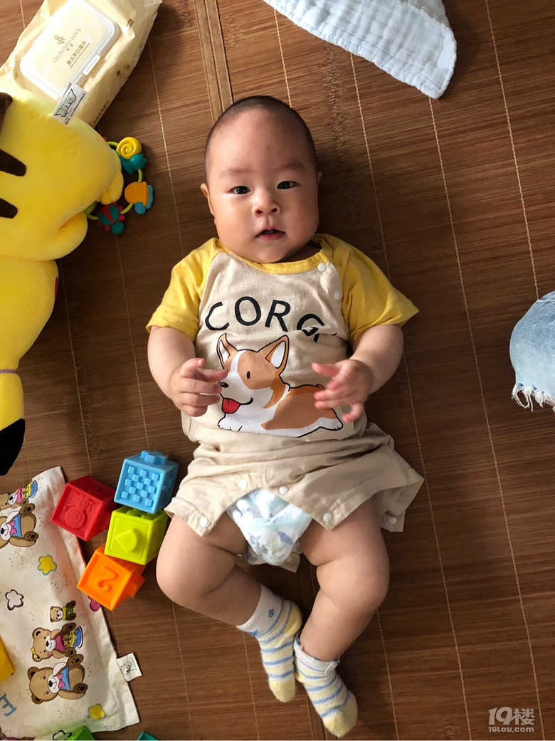 【娃的OOTD】小柯基上線啦