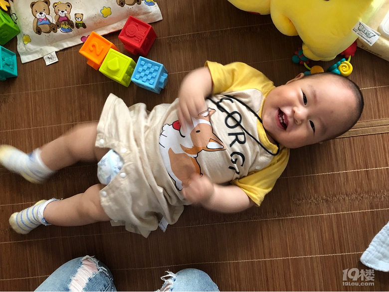 【娃的OOTD】小柯基上線啦